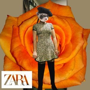 Zara Collection Italia Navy & Cream Fleur de Lis Print Mini Dress